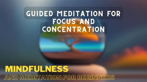 Guided Meditation For Focus And Concentration Mindfulness And