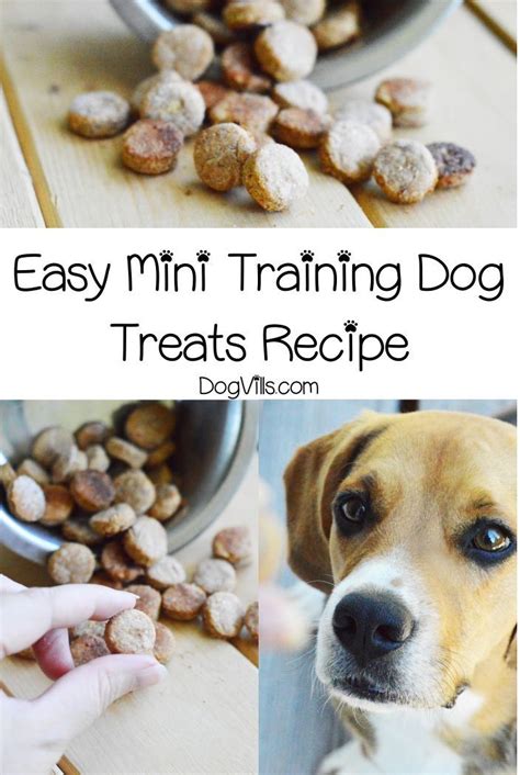 Training treats – Artofit