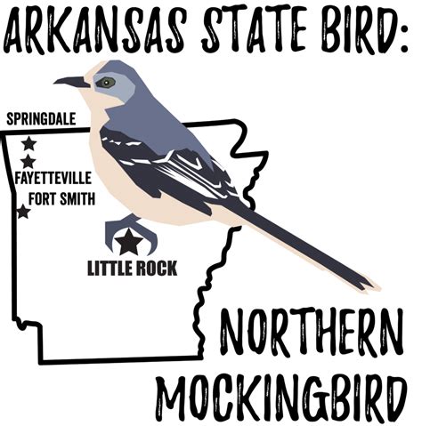 Arkansas State Bird - Bird Watching Academy