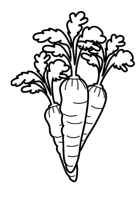 Carrot Line Drawing at GetDrawings | Free download