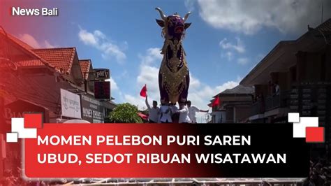 Momen Pelebon Puri Saren Kauh Ubud Gianyar Ribuan Wisatawan Antusias