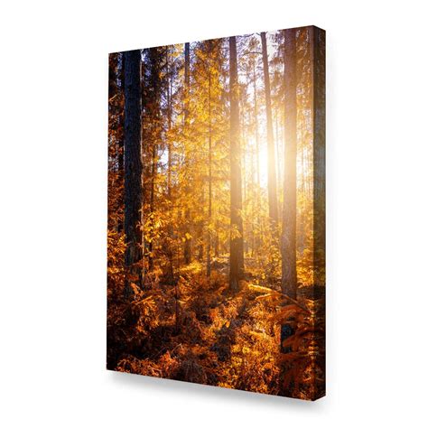 Forest Sunrise Painting Original Oil Painting on Canvas Wall - Etsy