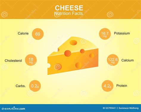 Hechos De La Nutrición Del Queso Queso Con La Información Vector Del