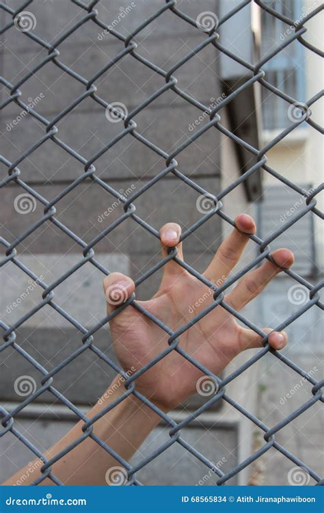 Hand In The Cage Stock Photo Image Of Security Justice 68565834