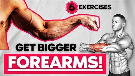 Get Massive Forearms With These Top Exercises Forearm Workout