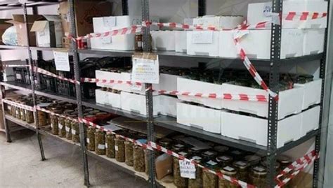 Sequestrati In Calabria 550 Kg Di Prodotti Alimentari Privi Di