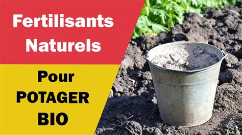 Fertilisants Naturels Pour Votre Potager YouTube