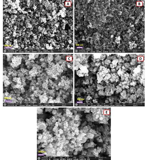 Fe Sem Images Of Synthesized A Sno B Zno C Mn Sno D