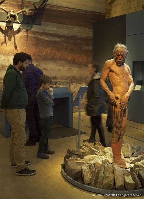 Natural History Museum Exhibit Of Lifesize Neanderthal Man At The One