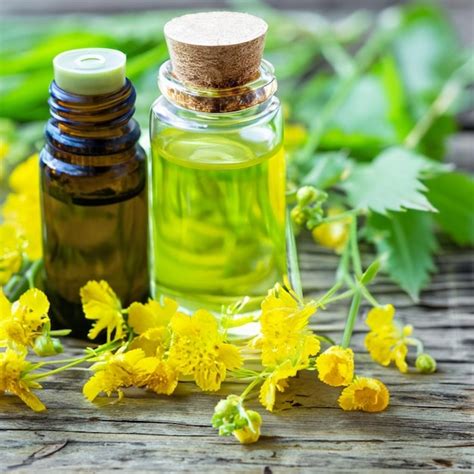 premium photo organic oil bottles