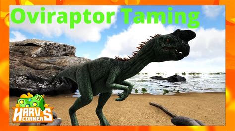 Ark How To Tame A Oviraptor Creature Features Youtube