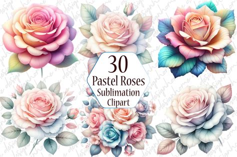 Watercolor Pastel Roses Clipart Graphic by designhome · Creative Fabrica