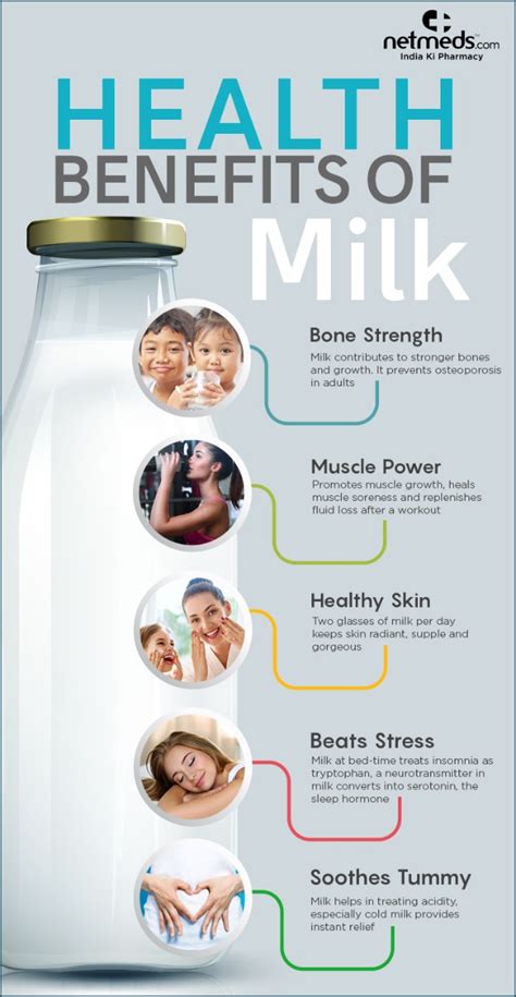 Benefits Of Milk To The Brain BRAINLYVI