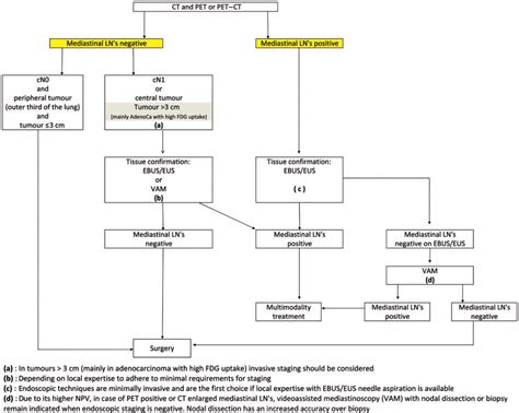 Early And Locally Advanced Non Small Cell Lung Cancer Nsclc Esmo Clinical Practice Guidelines