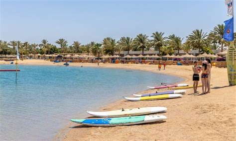 Desert Rose Resort – RedSea Life