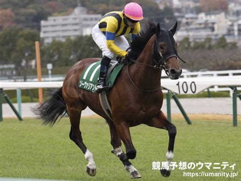 【robotipの勝率予測】中山記念2023 騎手重視予測からはソーヴァリアントが1位も馬券対象が6頭と混戦模様の構図｜競馬ニュース｜競馬予想