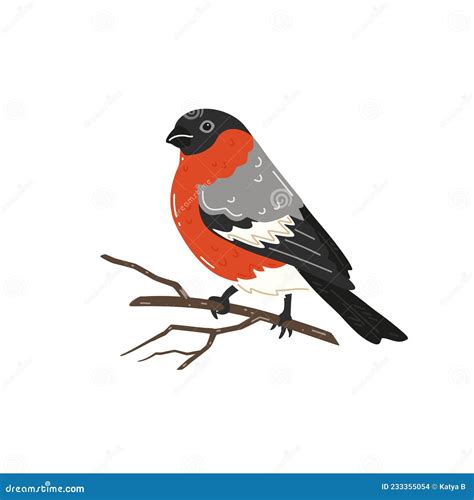 Bullfinch Sitting On A Tree Branch Vector Illustration Stock Vector