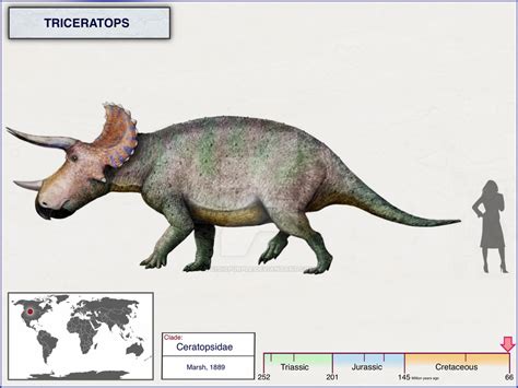 Triceratops By Cisiopurple On Deviantart