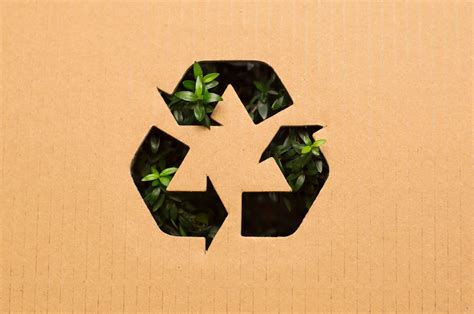 The Facts About Recycling Paper Packaging