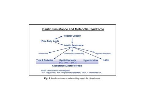 Reverse Insulin Resistance Metabolic Syndrome