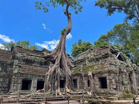 Siem Reap Visite Du Lever Du Soleil D Angkor Wat Via Tuk Tuk Et Petit