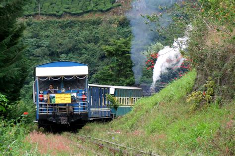 Rameshkidangoor: Ooty Toy Train