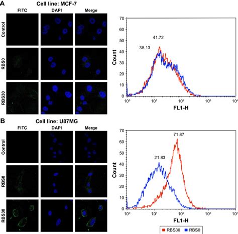 Confocal Microscopy Images And Facs Analysis Of A Mcf 7 And B U87mg Download Scientific