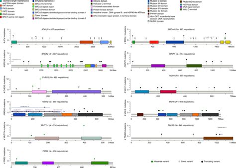 Prevalence Of Pathogenic Germline Cancer Risk Variants In High Risk