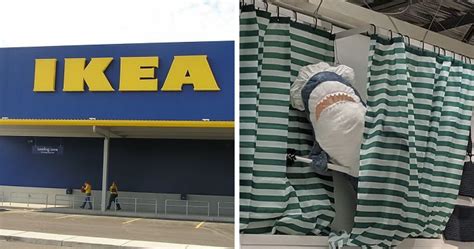 22 Times Ikea Customers Spotted Shark Plushies Doing Human Things” At