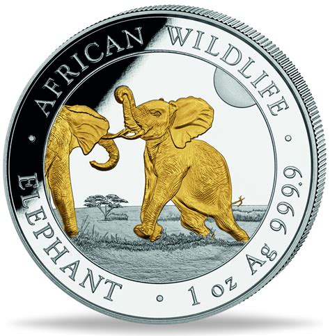 Somalia Shilling Elefant African Wildlife Mit