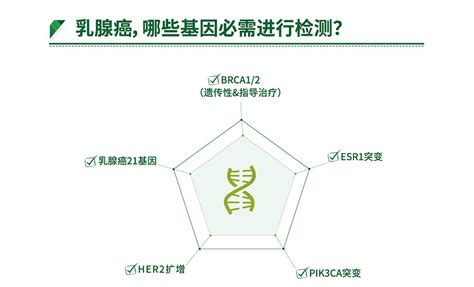 乳腺癌精准治疗基因检测 上海桐树生物科技有限公司