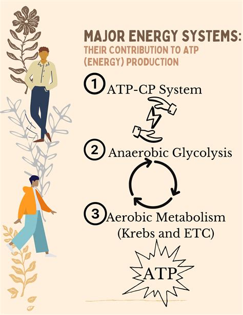 8.1 Adenosine Triphosphate (ATP) – Nutrition and Physical Fitness