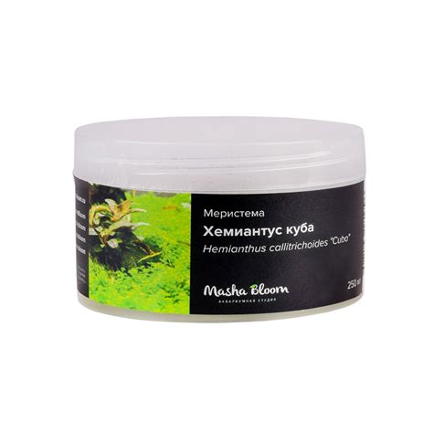 Растения для аквариума переднего плана