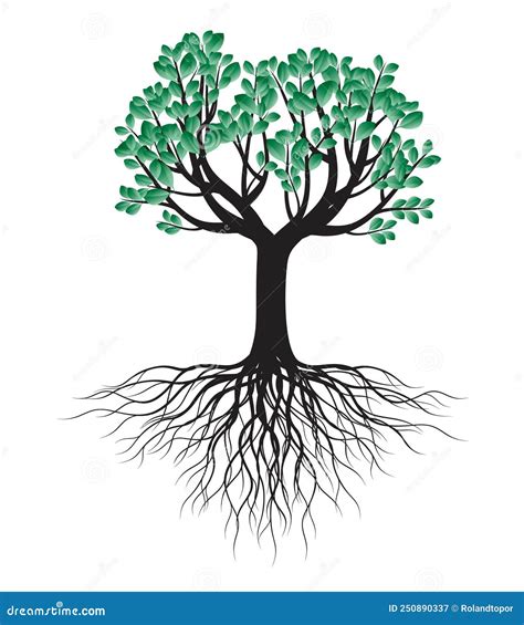 Green Spring Tree With Roots Vector Illustration Stock Vector