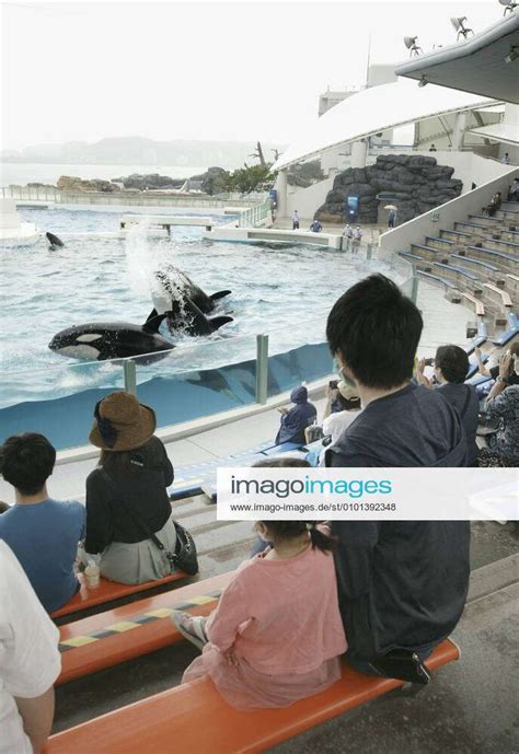 Reopening Of Aquarium In Chiba Kamogawa Seaworld Aquarium In Kamogawa