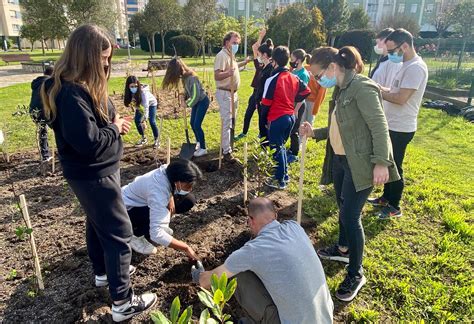 Alumnos Del Ies El Alisal Protagonizan Una Nueva Plantación Ciudadana