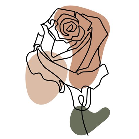 Aesthetic Rose Line Art Collection 21445442 PNG