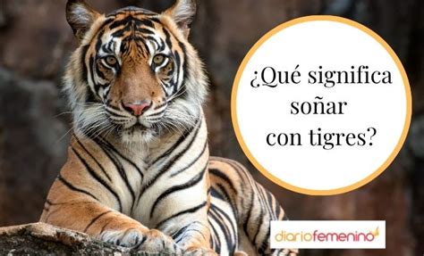 Top Imagen Que Significa So Ar Con Leones Que Te Persiguen