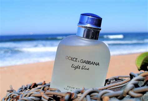 Dolce Gabbana Light Blue Pour Homme Eau De Toilette Spray Dillard's ...