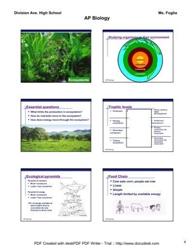 Chapter Ecosystems Pdf Lincoln Ap Biology Home