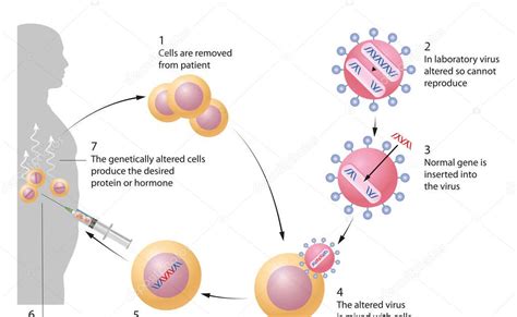 ASGCT 2024 La Tecnologia Di Inserimento Genico Non Virale In Vivo Di