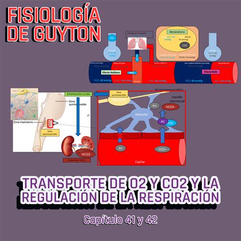 Presentaci N Completa L Fisiolog A De Guyton L Cap Y Transporte