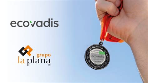 Noticias De Castelló Grup La Plana Obté La Medalla De Platí Decovadis