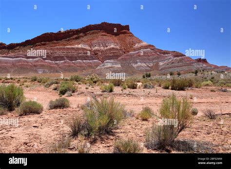 Colorful Red Colors Of The Badlands Landscape At Paria River Canyon