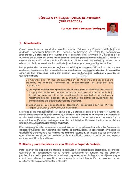 Papeles de Trabajo Guía PARA LA ELABORACION DEL PROGRAMA DE AUDITORIA