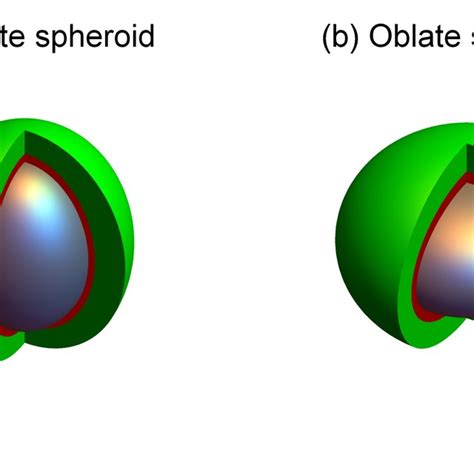 (a) Prolate spheroid (b) Oblate spheroid. The anoxic central core in ...