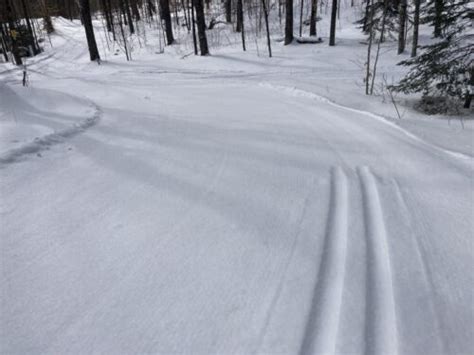 This morning 1.5 inches of new snow, and snowing. - Wild Wings Nordic ...