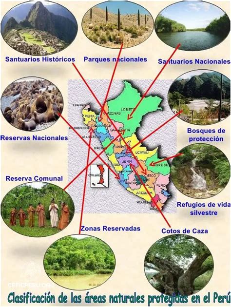 Descubre El Mapa De Las Areas Naturales Protegidas Del Peru Diciembre