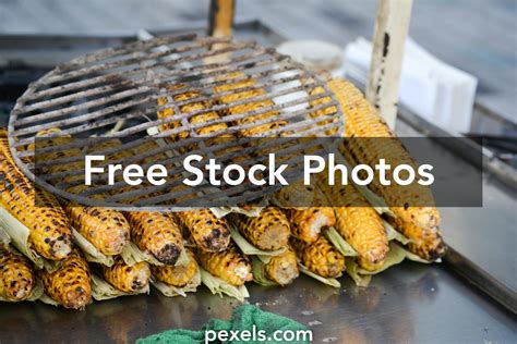 corn stover      corn stover stock