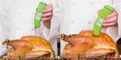 How to Cook a Turkey—Turkey Temperatures! | ThermoWorks